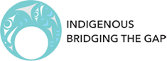 Indigenous Bridging the Gap logo